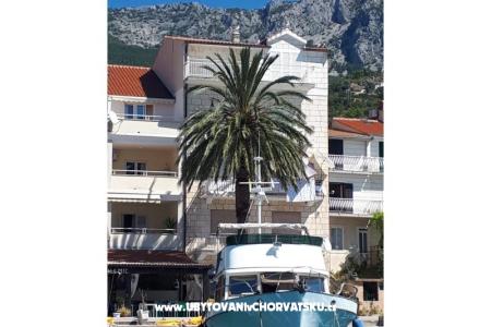 Palm tree apartman photo 5