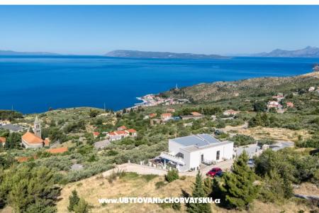 Villa Nolandia photo 3