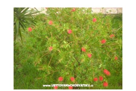 Apartments Baki photo 2