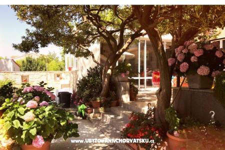 Apartments & Rooms Tomas photo 4