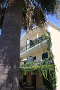 Apartments Nera photo 5