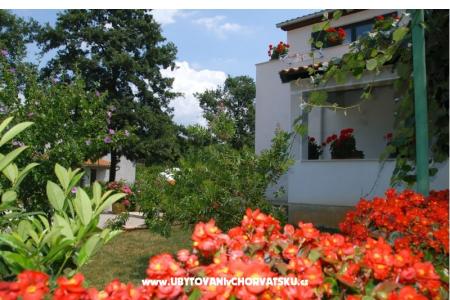 Apartments Bauk photo 3