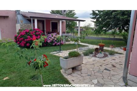 Apartments Dragica! photo 5