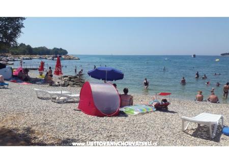 Apartments Lucija photo 4