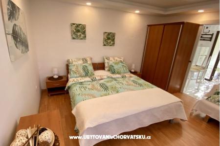 Apartments Aleks-Ana photo 5
