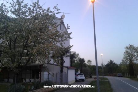 Oriana photo 2