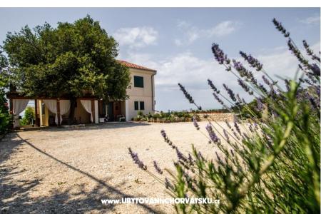 Apartments Andreja Primosten Croatia