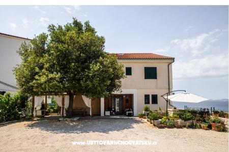 Apartments Andreja photo 2