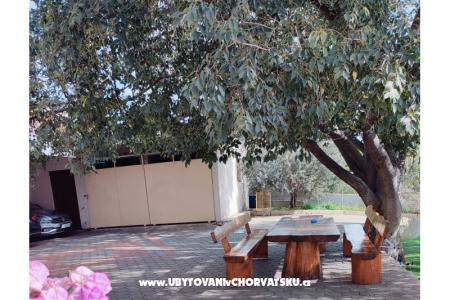 Apartments Svirčić photo 3
