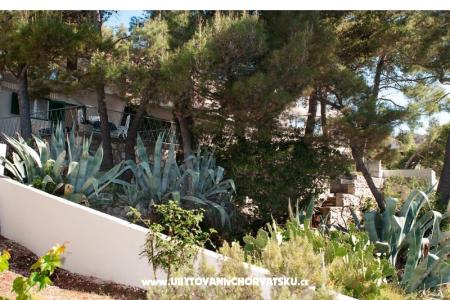 Vacation house Vlasta photo 3