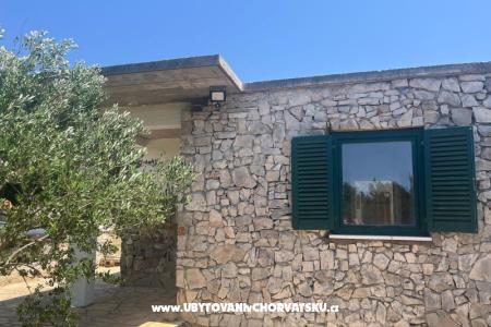 Olive grove photo 2