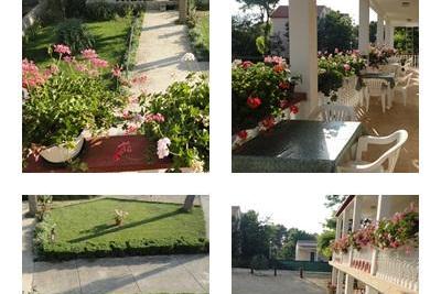 Apartments Ankica photo 5