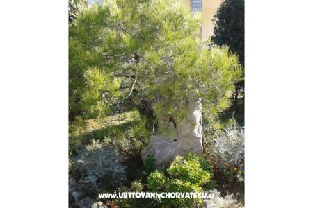 Apartments Mare & Berto photo 4