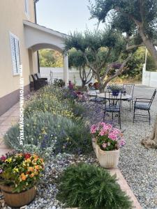 Apartments Jurac photo 3