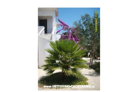 Apartments Šime photo 5