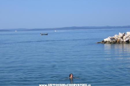 Villa Ante photo 2