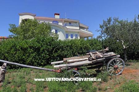 Villa Noela photo 2