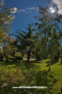 Villa Smrikve  photo 2