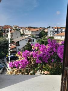 Villa Tanja photo 5