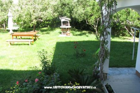 Apartments Danica photo 4