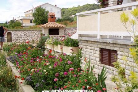 Apartments Duje photo 2