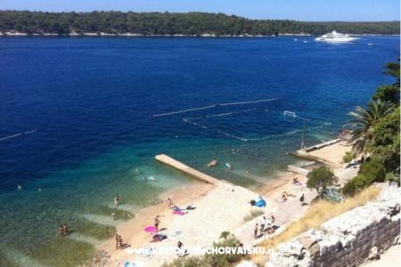 Apartments Pulić  Old Town Rab photo 4