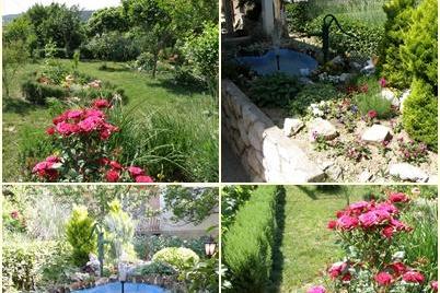 Apartments Skoblar Holiday-Rab photo 2