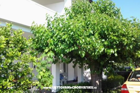 Apartments Snjezana Island of Rab Croatia