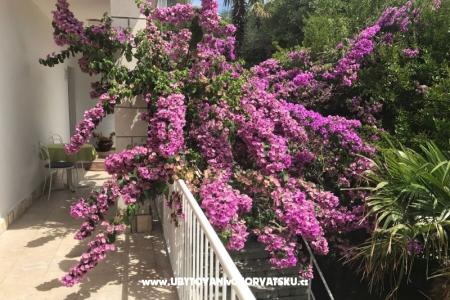 Apartments  Španjol photo 4