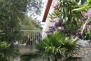 Apartments  Španjol photo 5