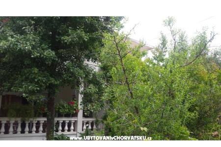 Arba photo 2