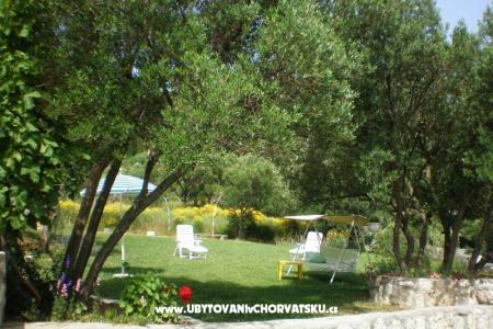 House Zorka photo 3