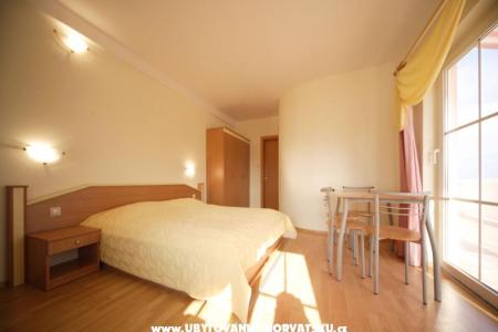 Pension Bellevue photo 3