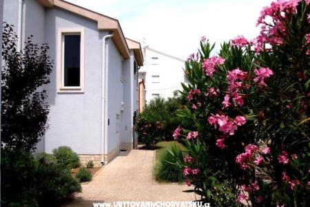 Villa Petra photo 4