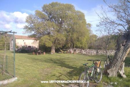 Traditional Istrian House ENI photo 4