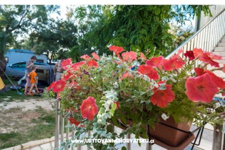 Apartments Puntica photo 3