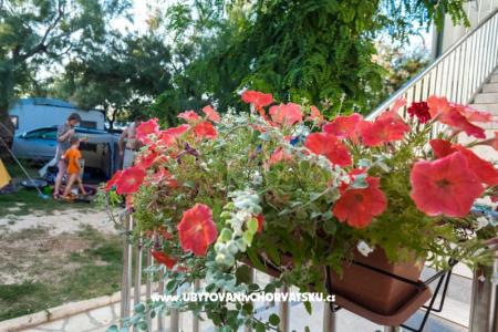 Apartments Puntica photo 2