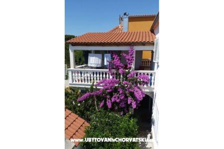 Apartment Dama photo 2
