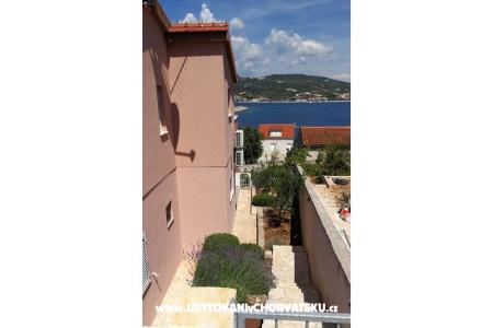 Apartment Darko photo 4