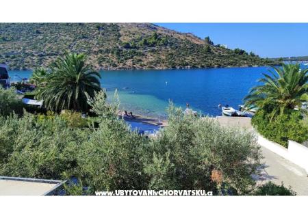 Apartments Pavle photo 2