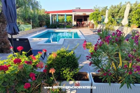 Villa Stella photo 5