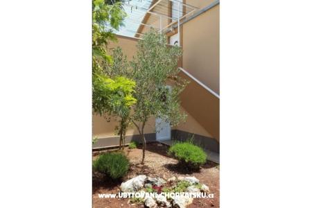 Apartments Pejo photo 4