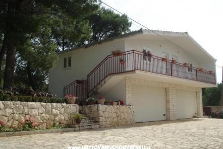 Apartments Rogoznica 3 photo 4