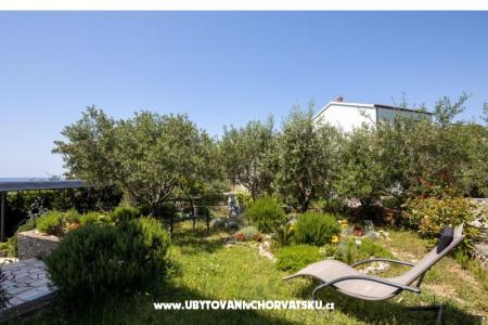 Apartments Vido i Nada photo 5