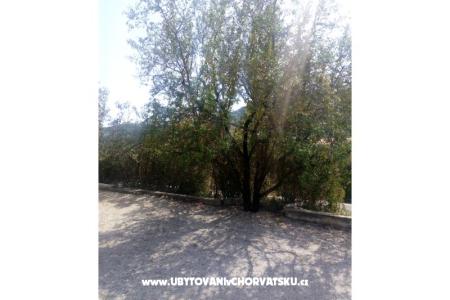 Apartments Ercegovic photo 5