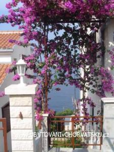 Apartments Lucija photo 4