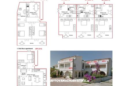 Apartments Branka photo 2