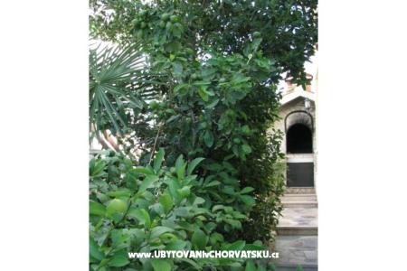 Apartments Villa Milakovic photo 4