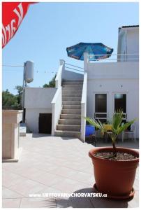 Apartments Tomy photo 2