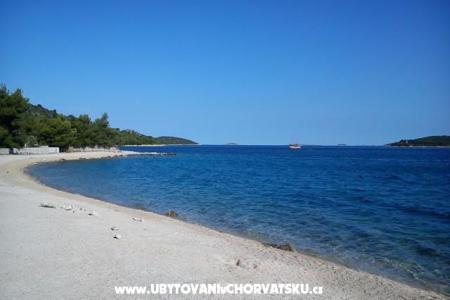 Apartments Viktor photo 4